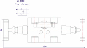 SS-M2F8(2)三阀组